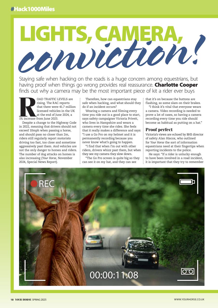 Your Horse Preview Pages