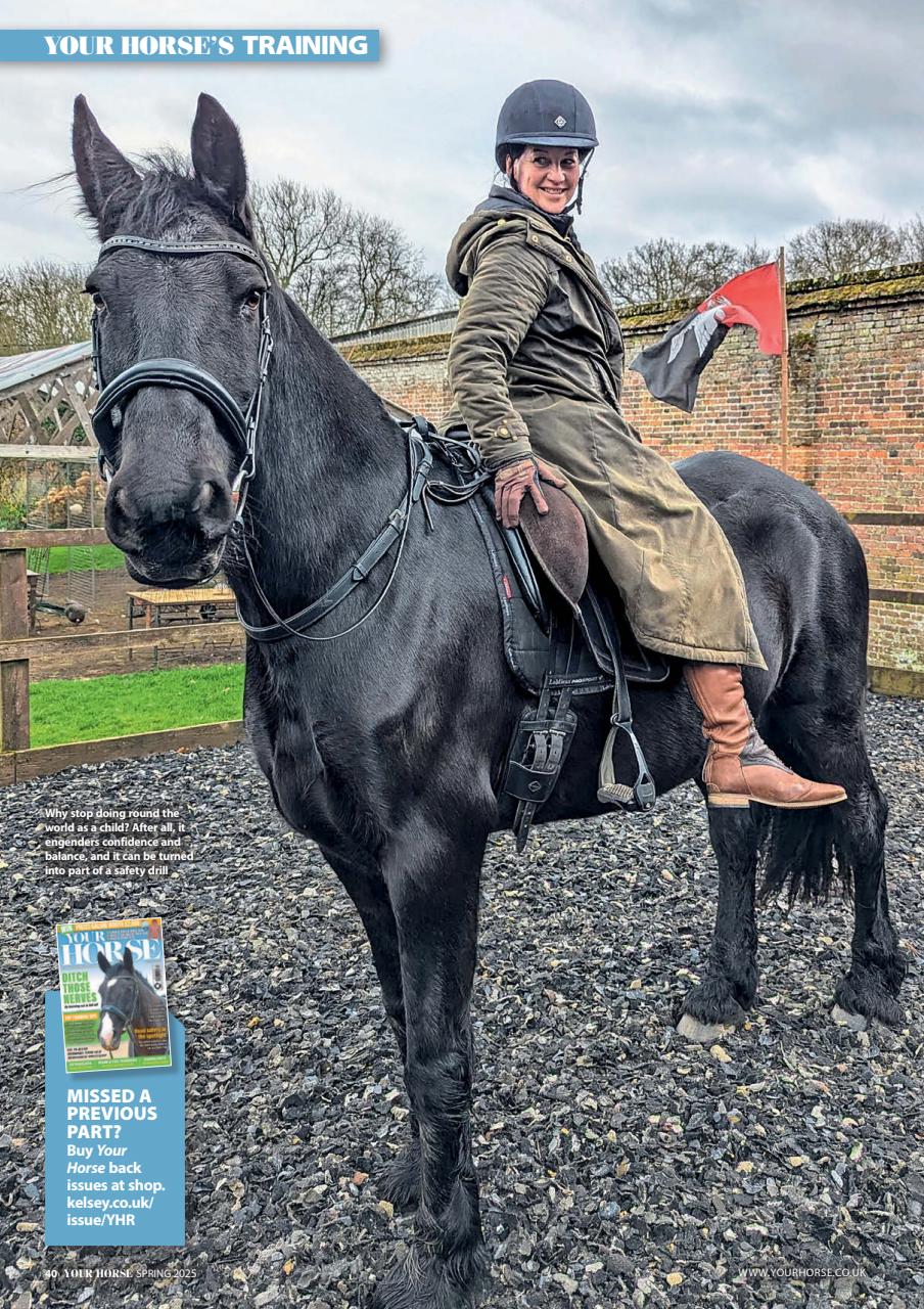 Your Horse Preview Pages