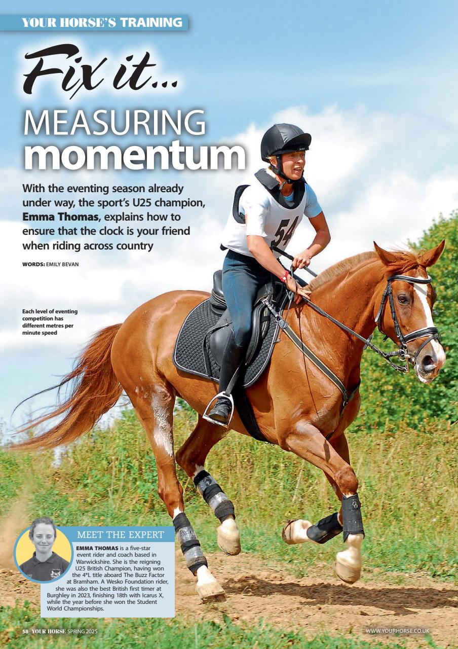 Your Horse Preview Pages