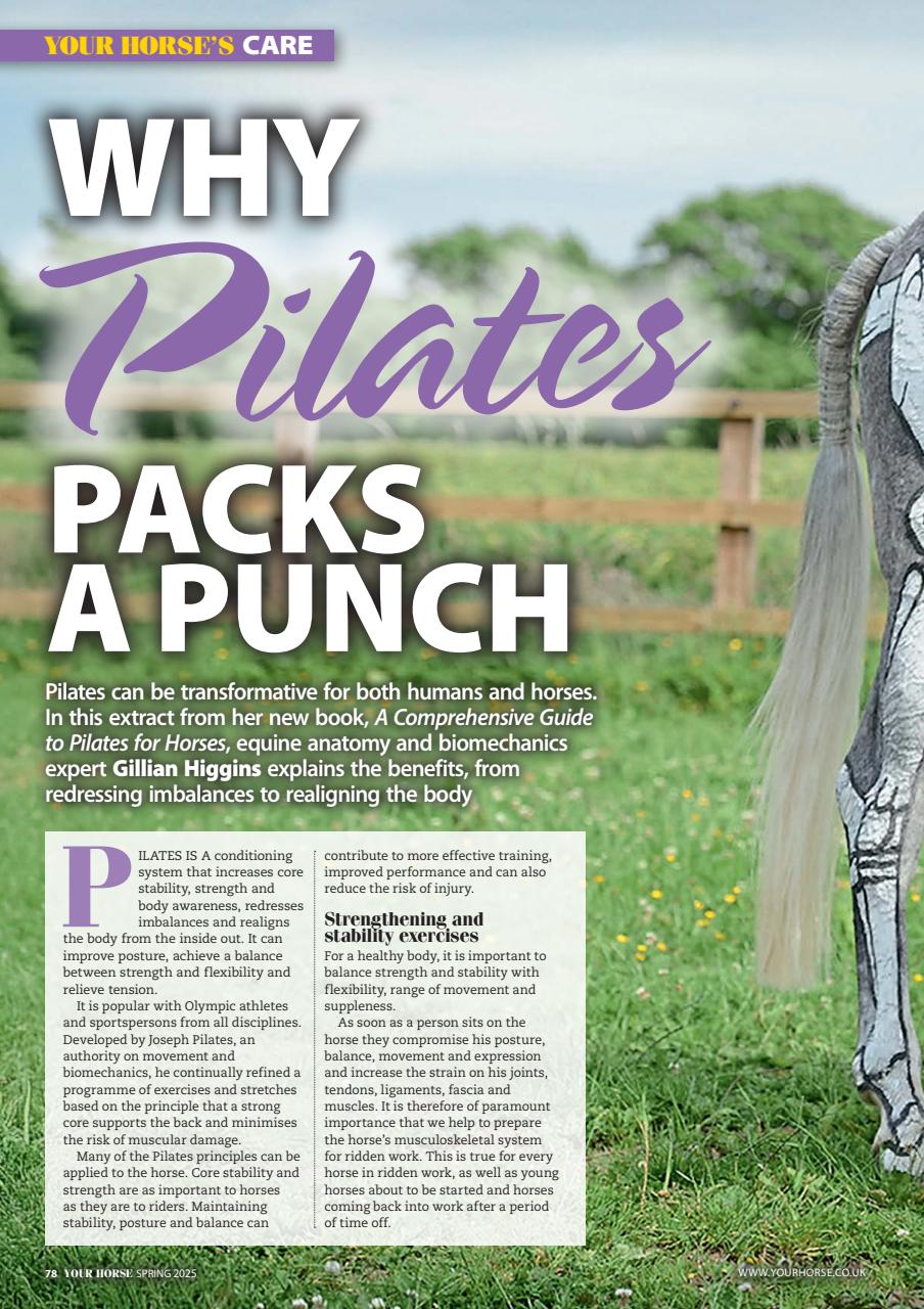 Your Horse Preview Pages