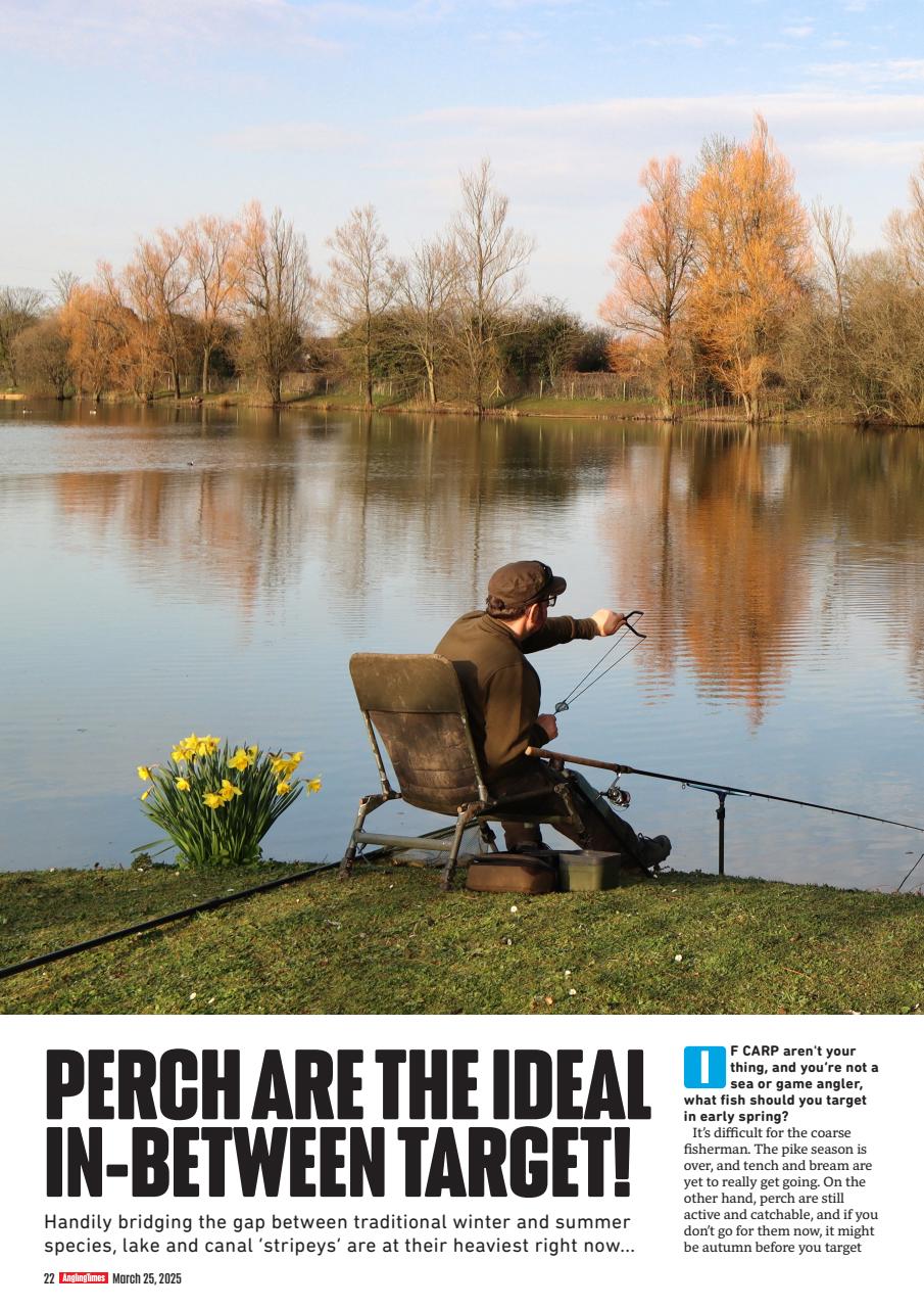 Angling Times Preview Pages
