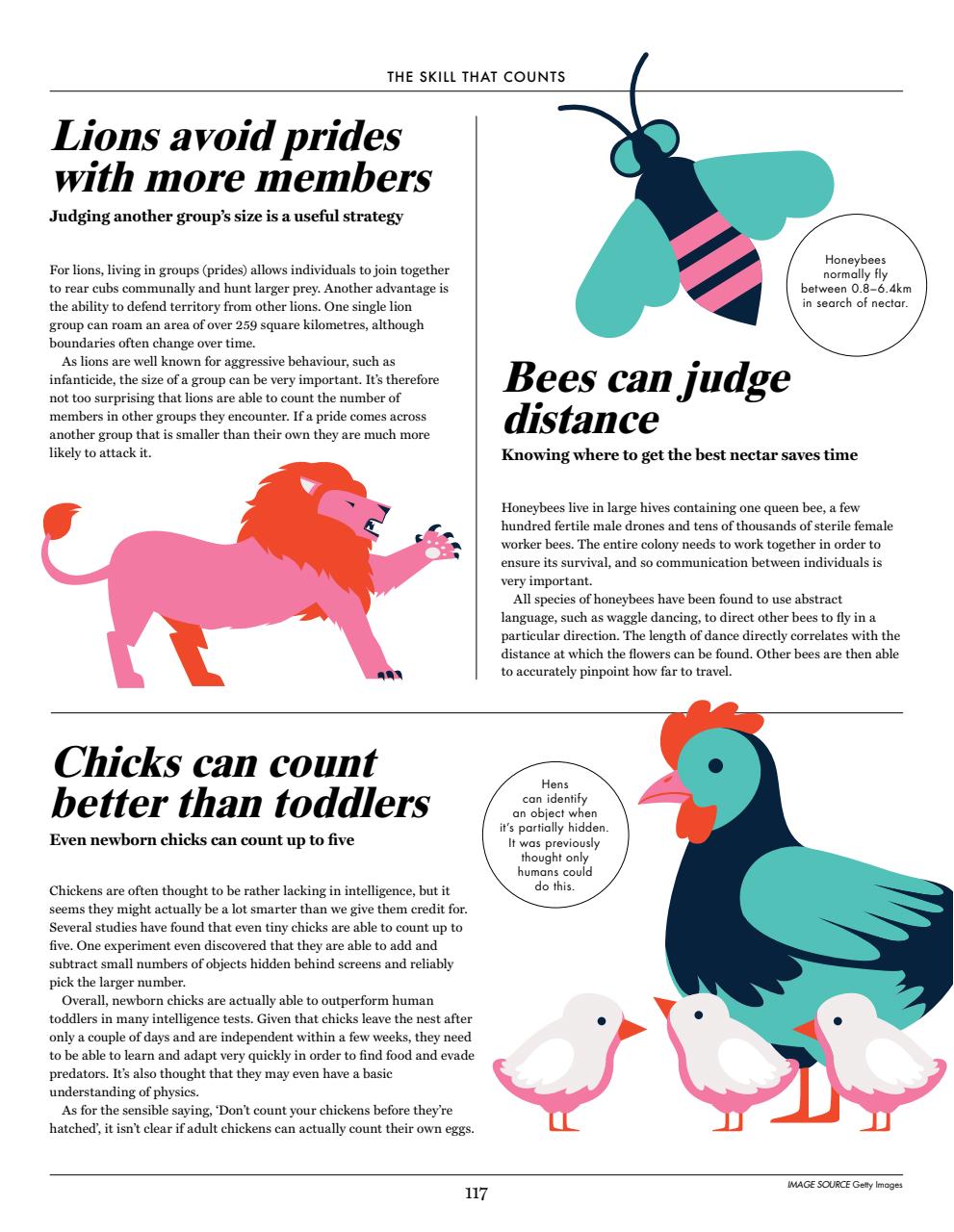 How It Works Bookazine Preview Pages