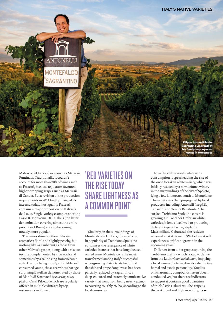 Decanter Preview Pages
