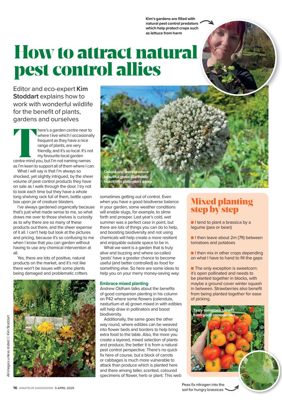 Amateur Gardening Preview Pages