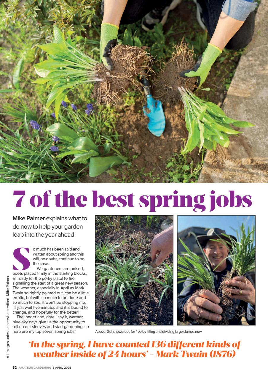 Amateur Gardening Preview Pages