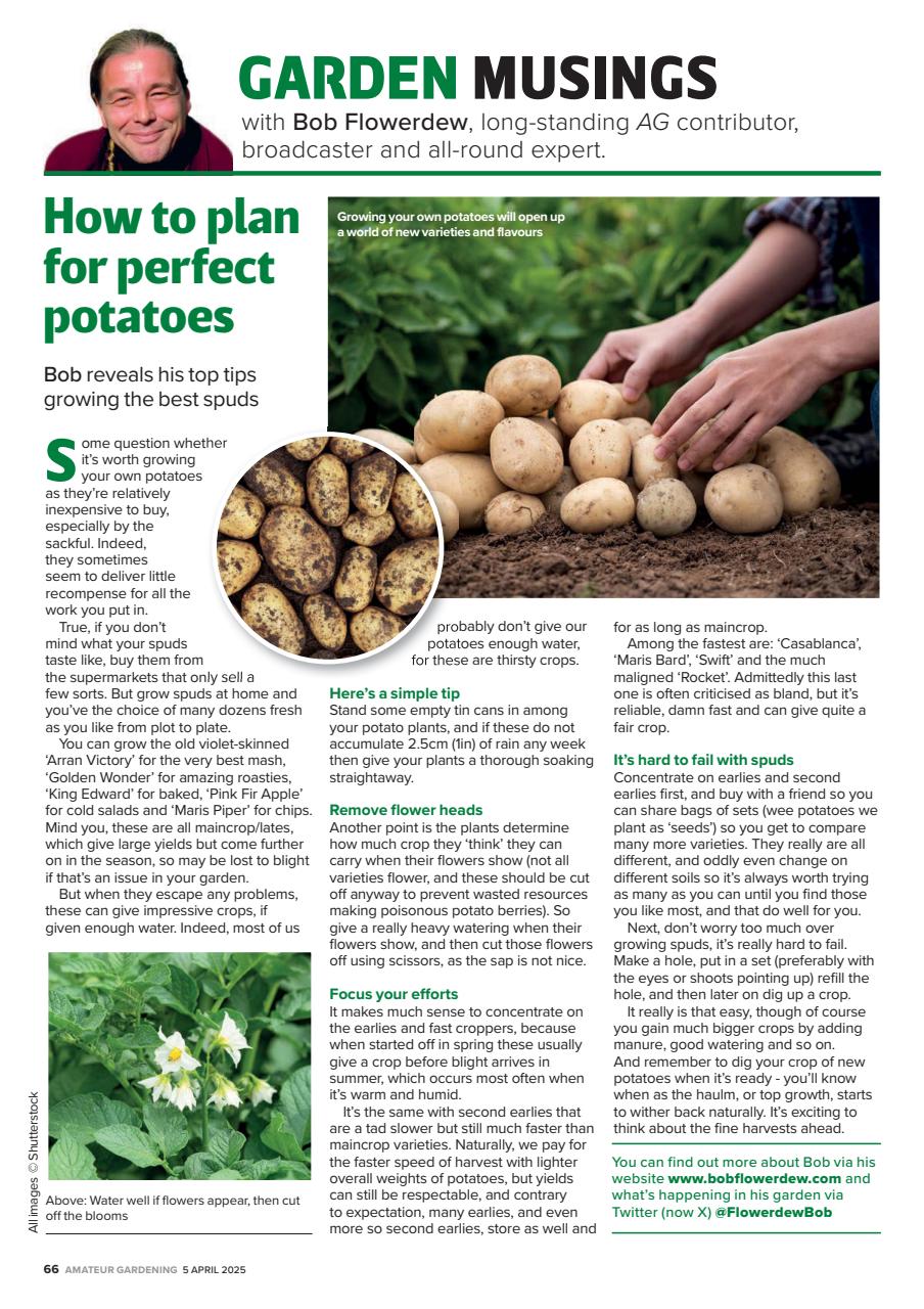 Amateur Gardening Preview Pages