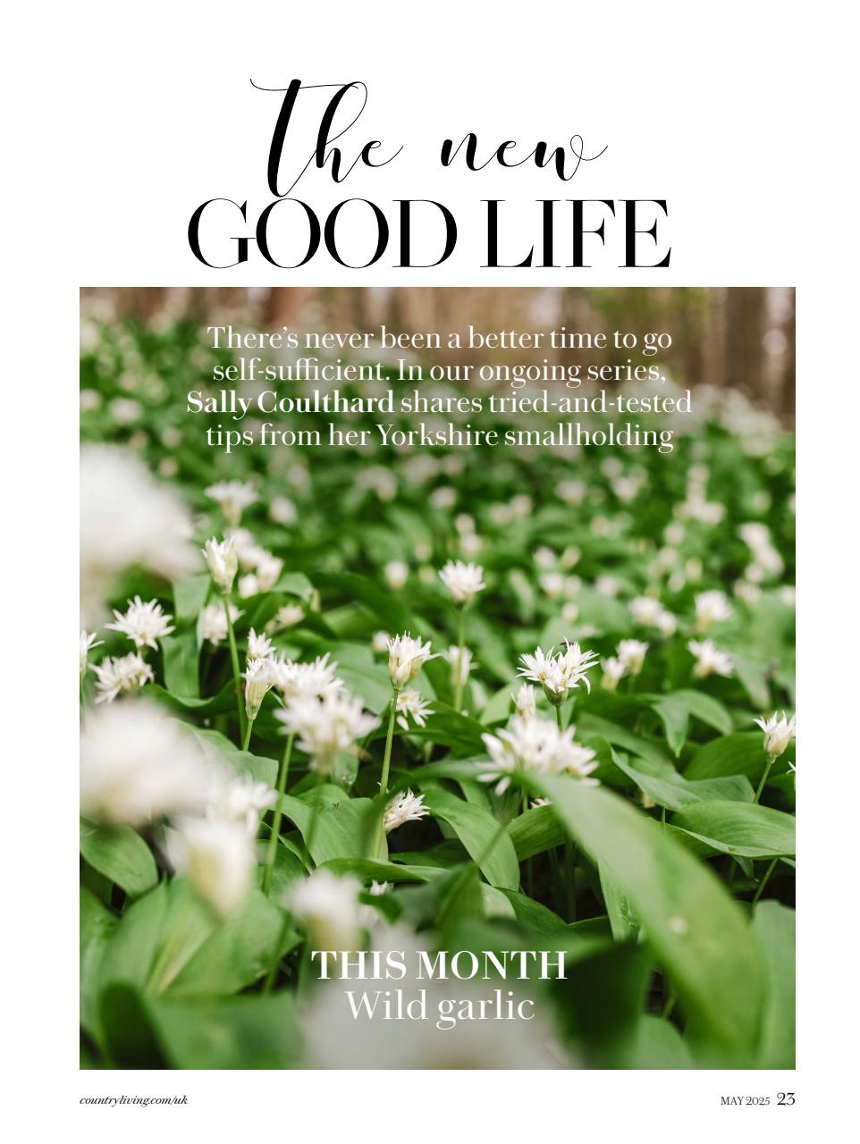 Country Living Preview Pages