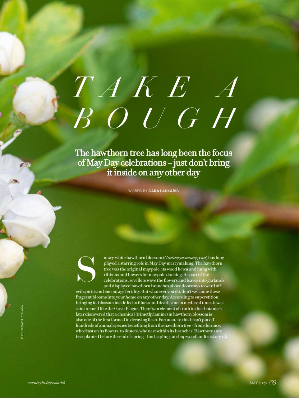 Country Living Preview Pages