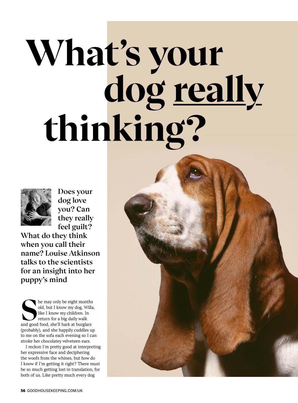 Good Housekeeping Preview Pages