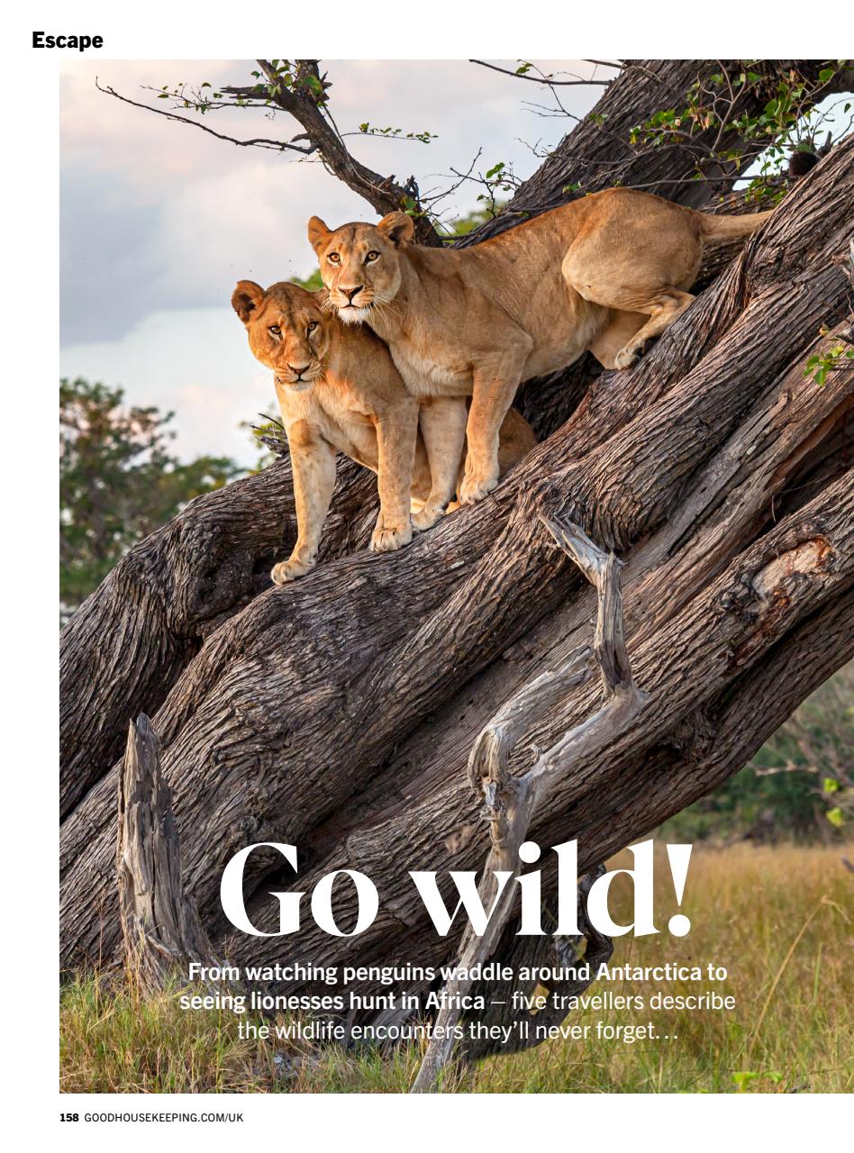 Good Housekeeping Preview Pages