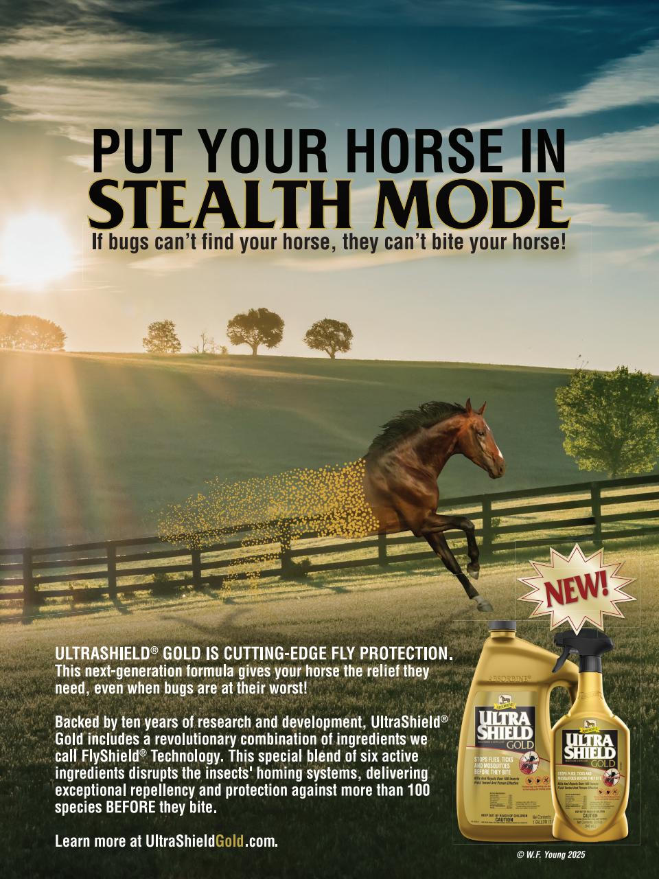Horse Illustrated Magazine Preview Pages
