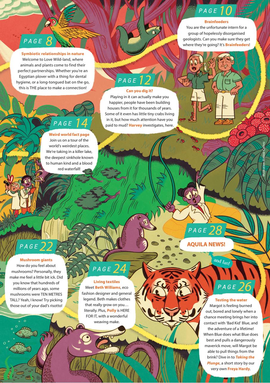 Aquila Preview Pages