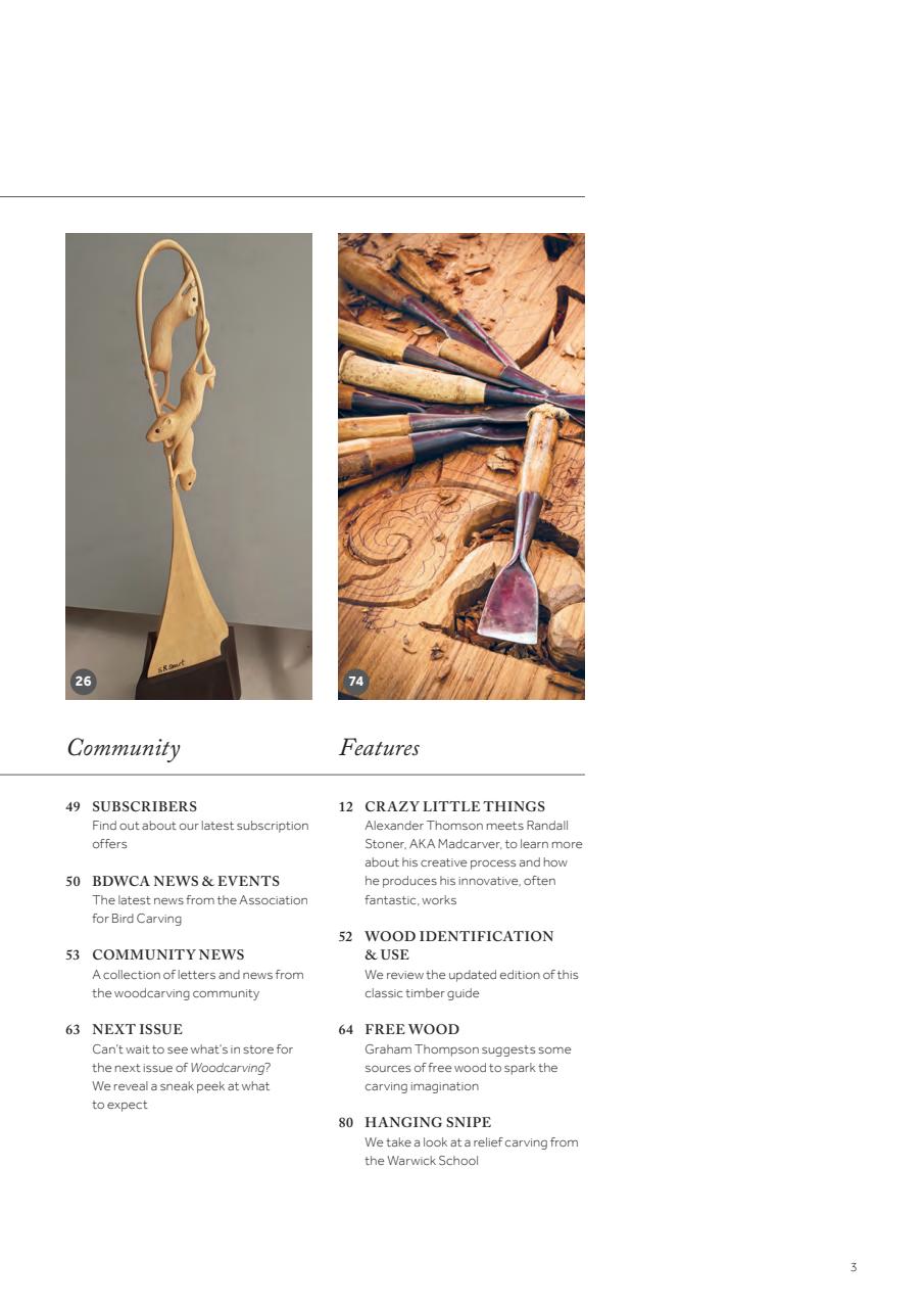 Woodcarving Preview Pages