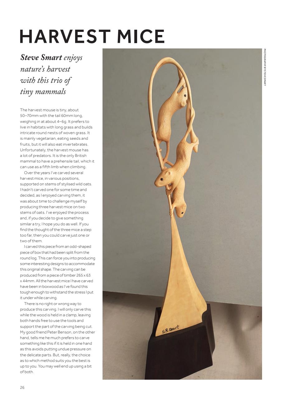 Woodcarving Preview Pages