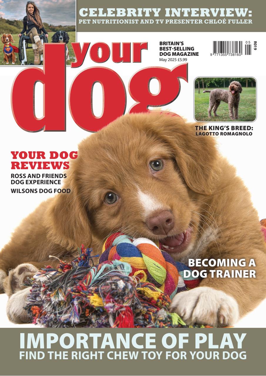 Your Dog Preview Pages