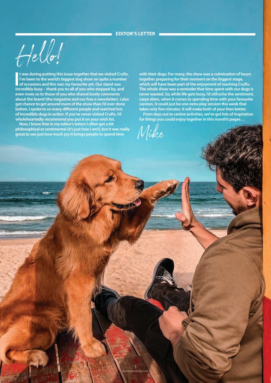 Your Dog Preview Pages