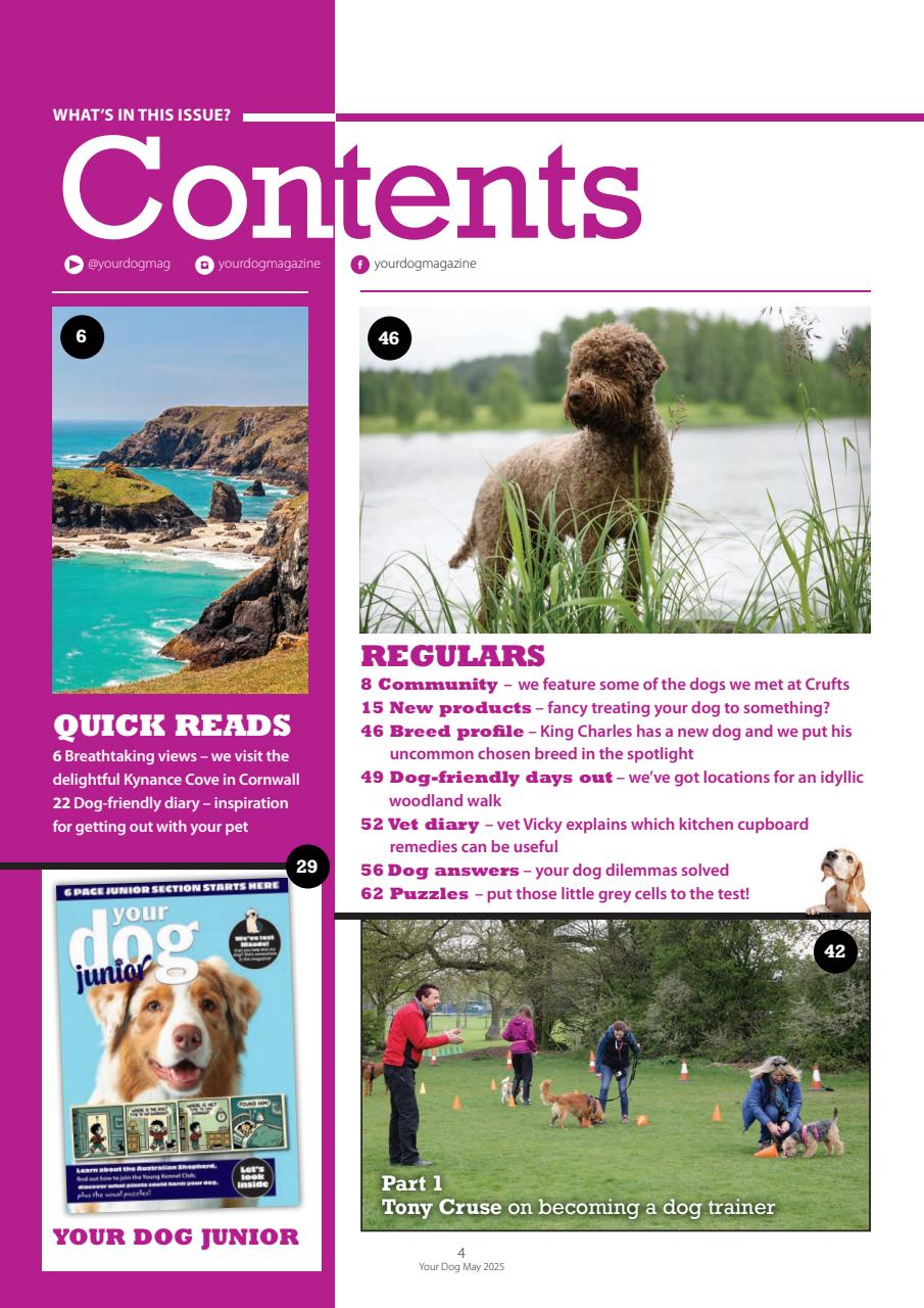 Your Dog Preview Pages