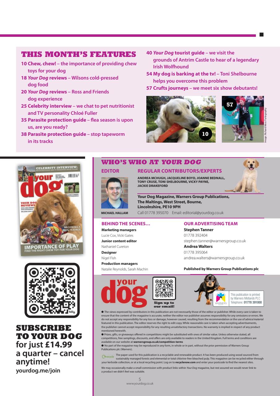 Your Dog Preview Pages