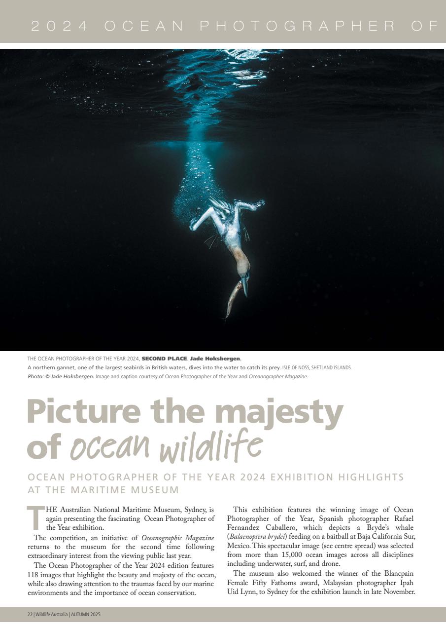 Wildlife Australia Preview Pages