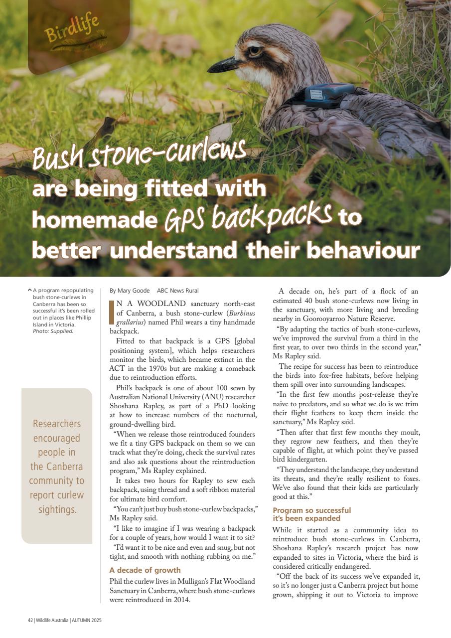 Wildlife Australia Preview Pages