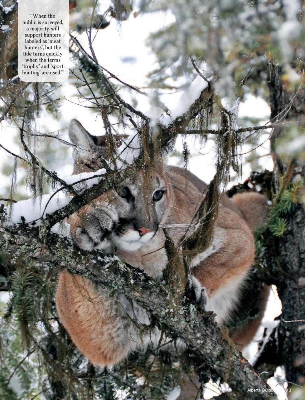 Alberta Outdoors Preview Pages