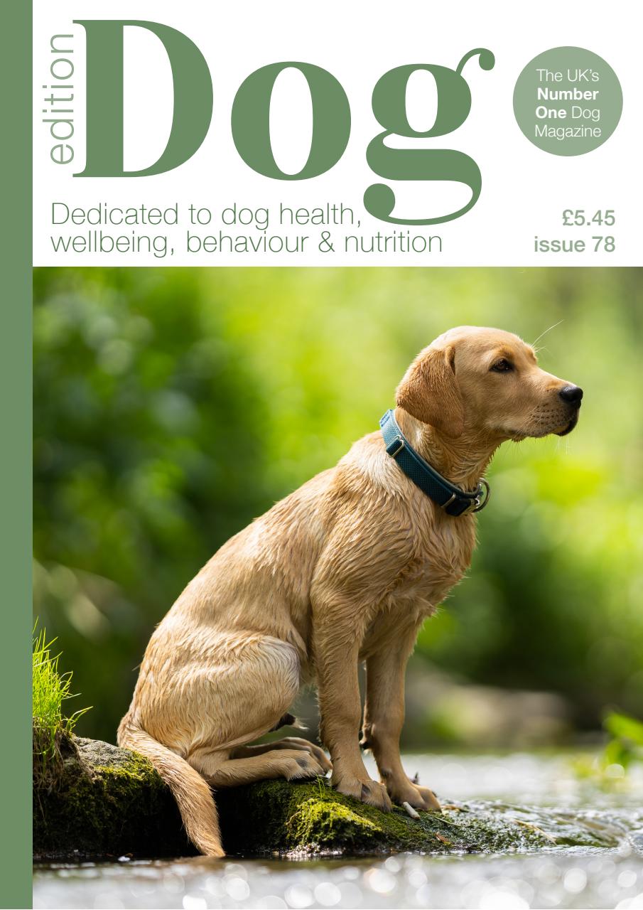 Edition Dog Preview Pages