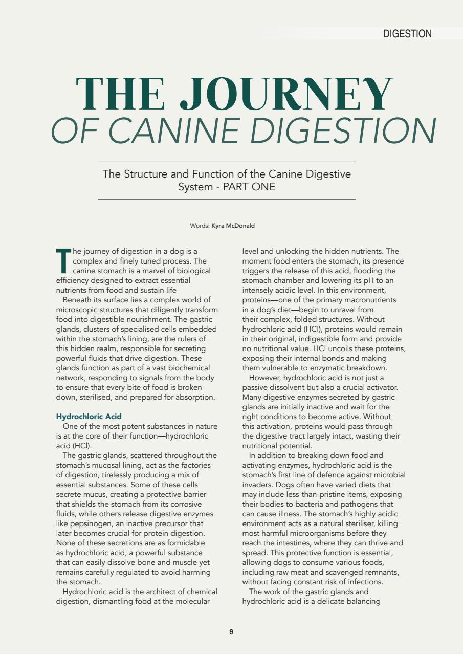 Edition Dog Preview Pages