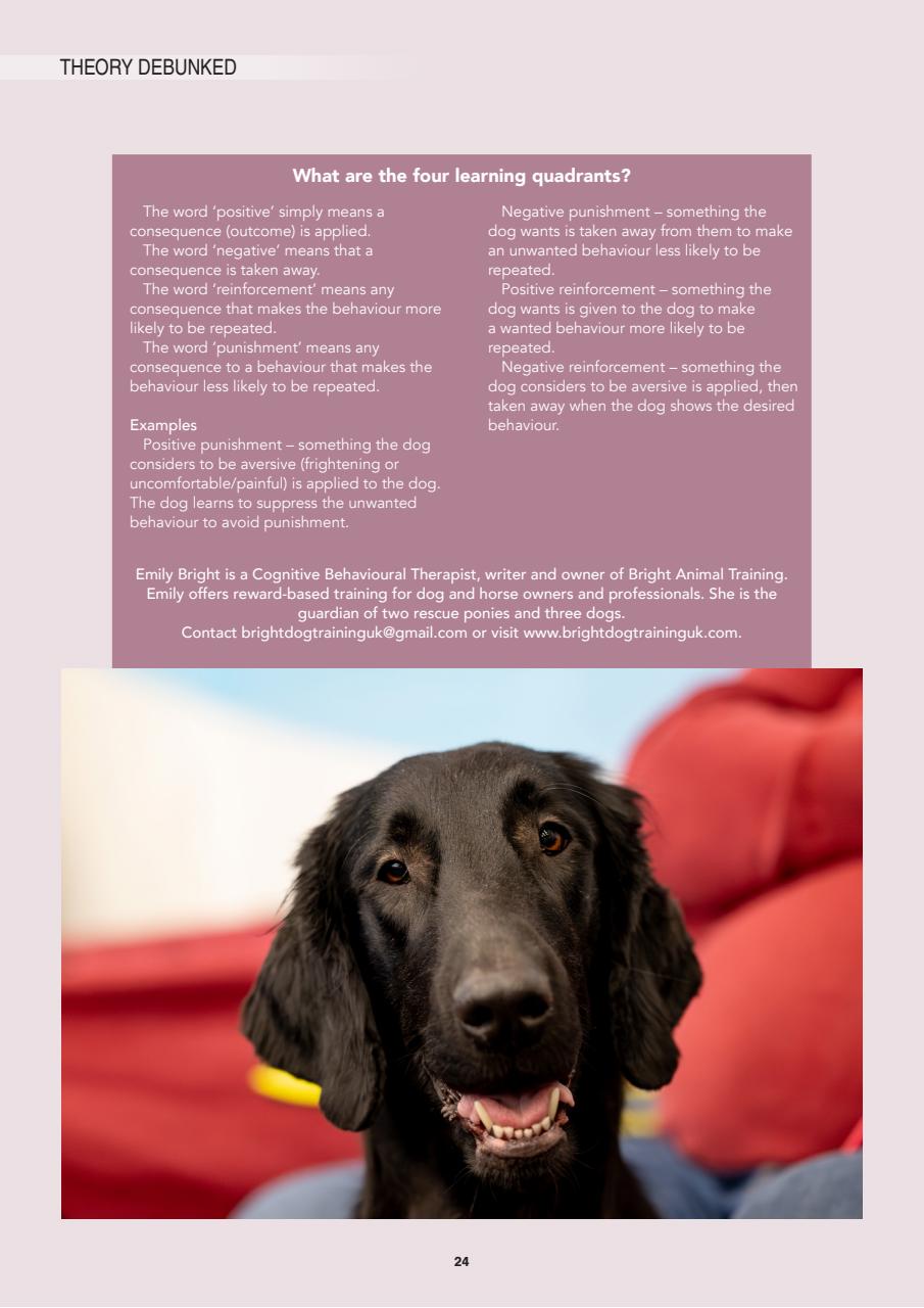 Edition Dog Preview Pages