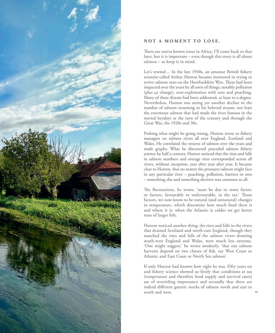 Fieldsports Journal Preview Pages