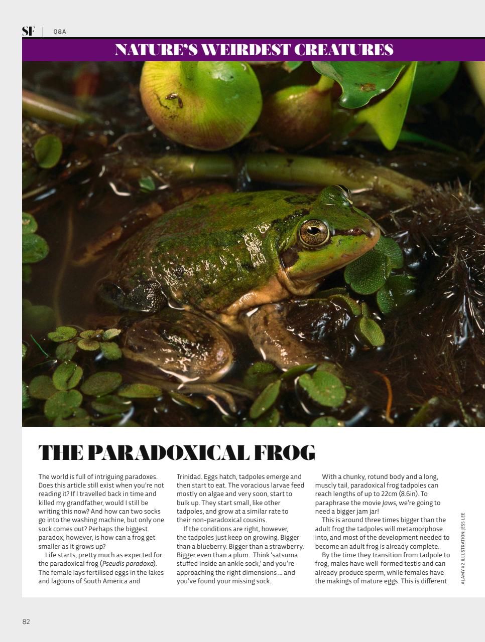 BBC Science Focus Magazine Preview Pages