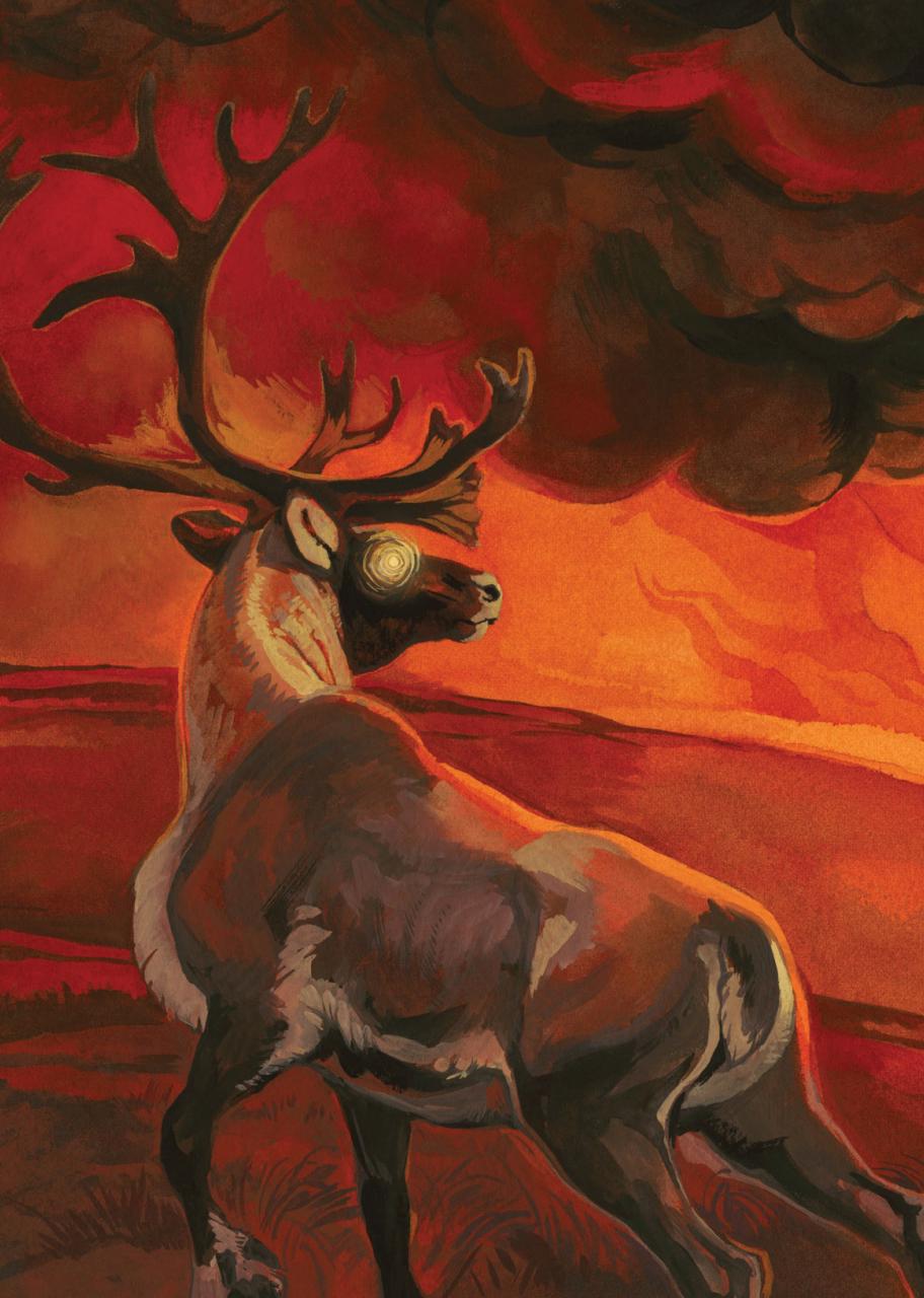 Canadian Geographic Preview Pages
