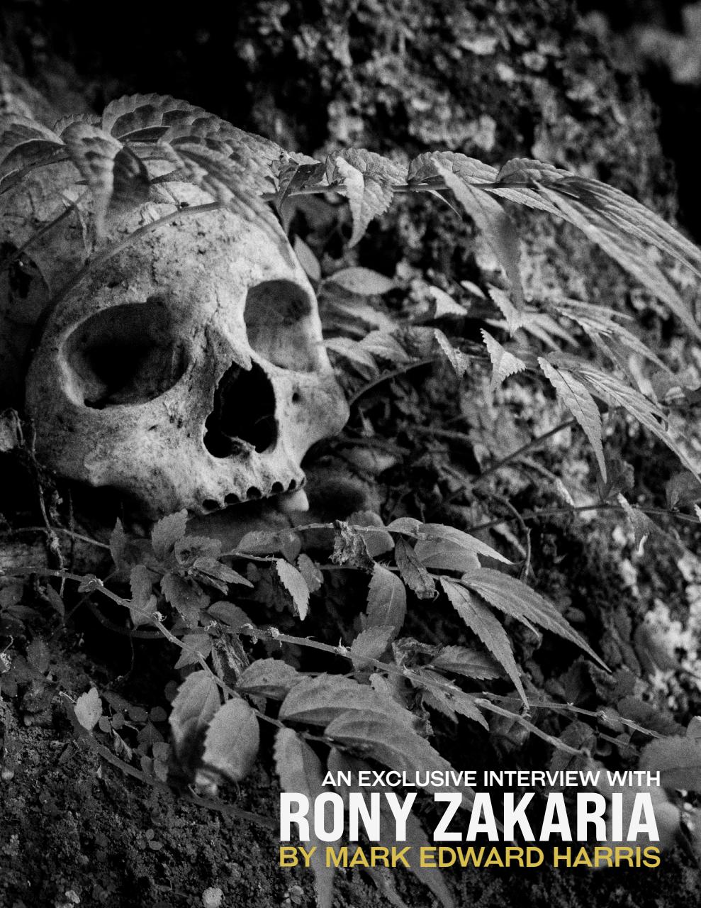 Lens Magazine Preview Pages