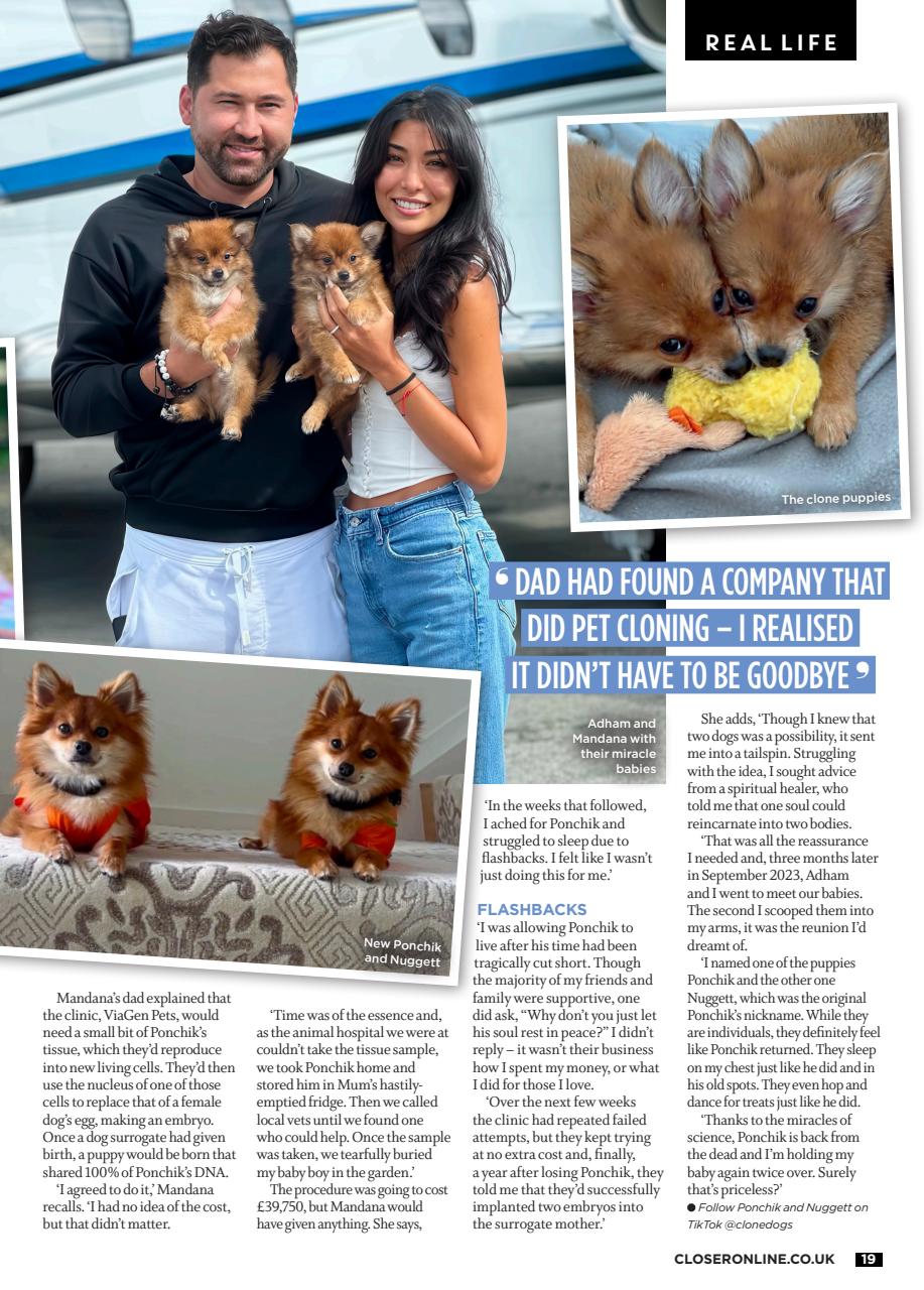 Closer Preview Pages