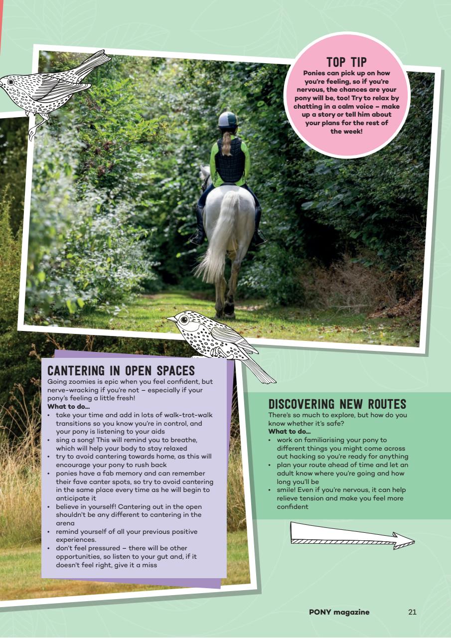 Pony Magazine Preview Pages