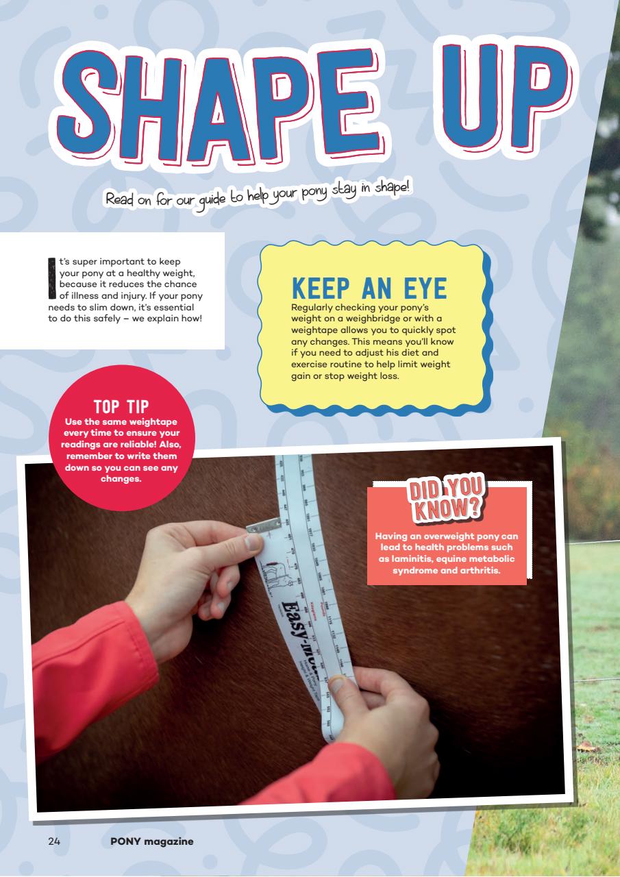 Pony Magazine Preview Pages