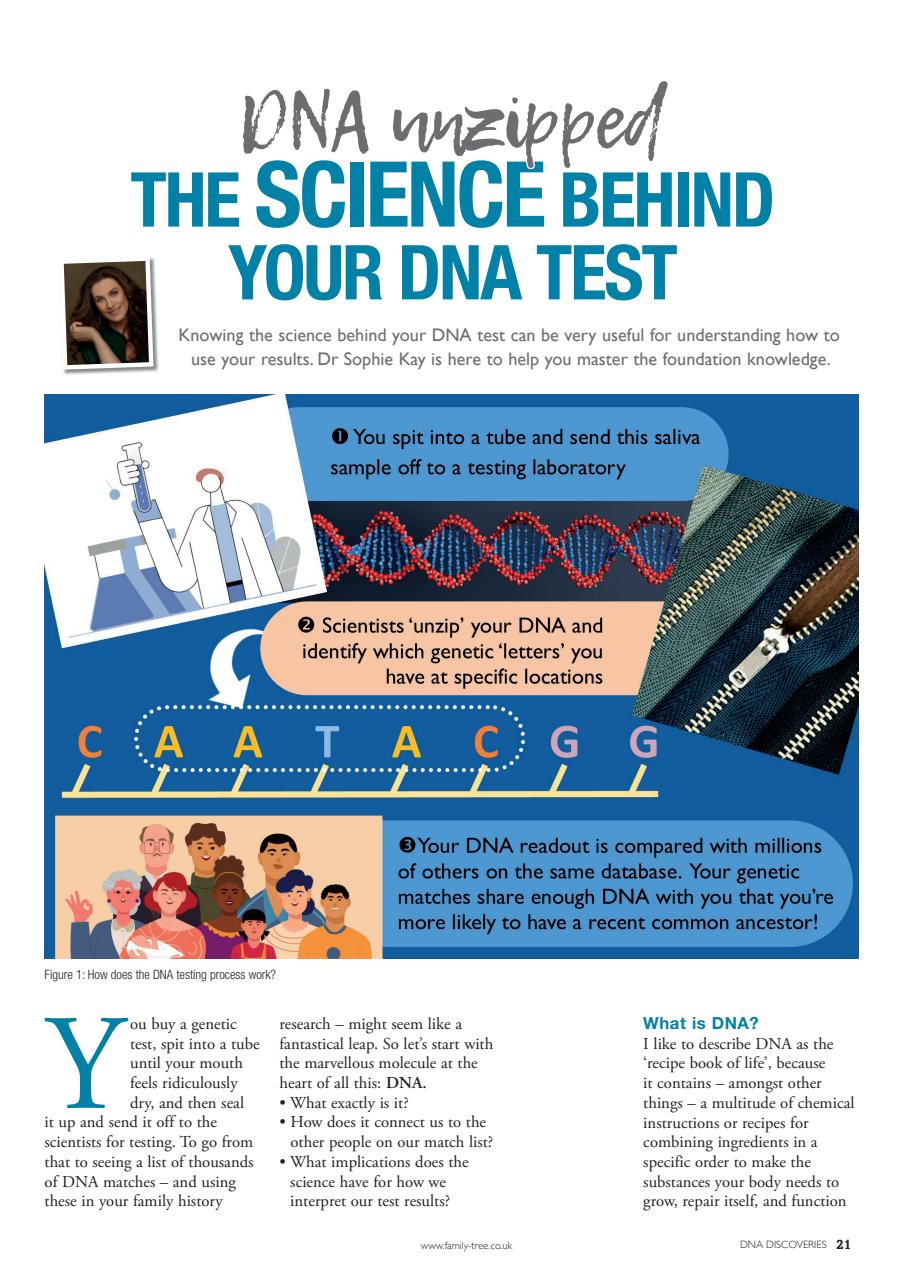 Family Tree Preview Pages