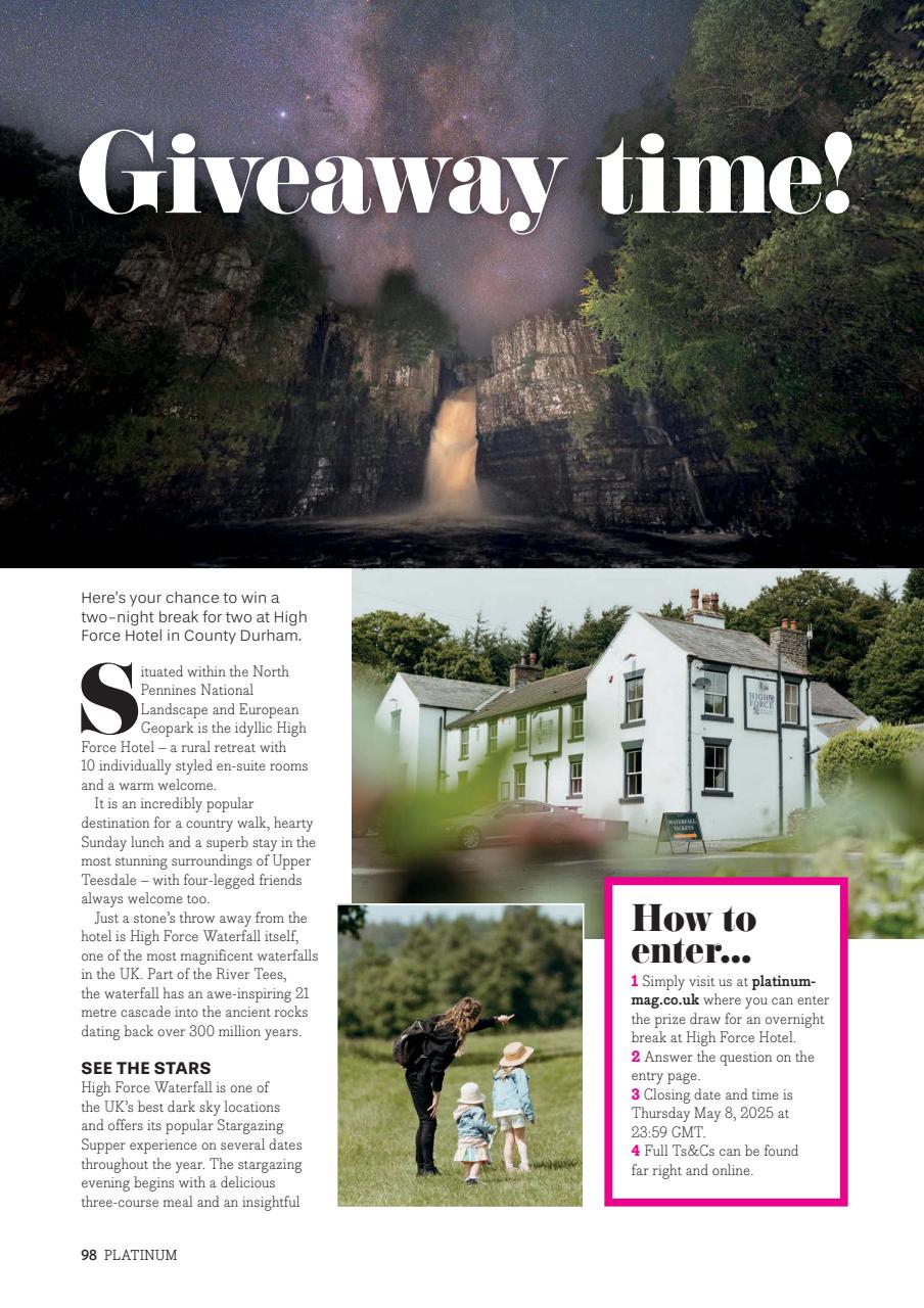 Platinum Preview Pages