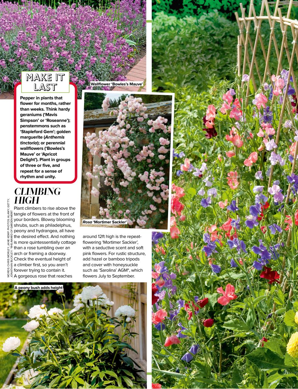 Woman's Weekly Preview Pages