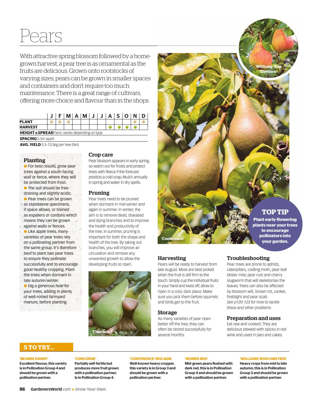 BBC Gardeners’ World Magazine Preview Pages