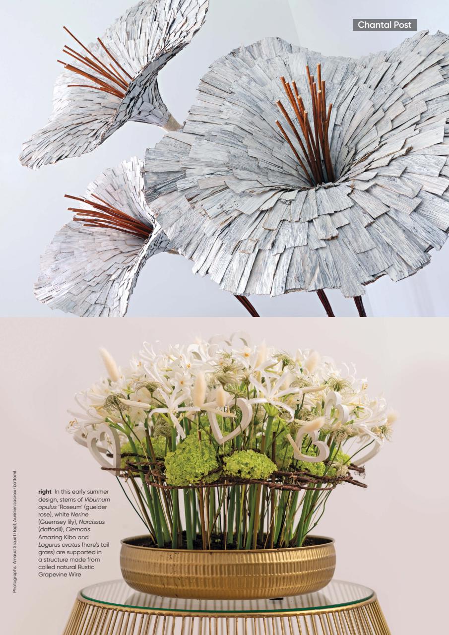 The Flower Arranger Preview Pages