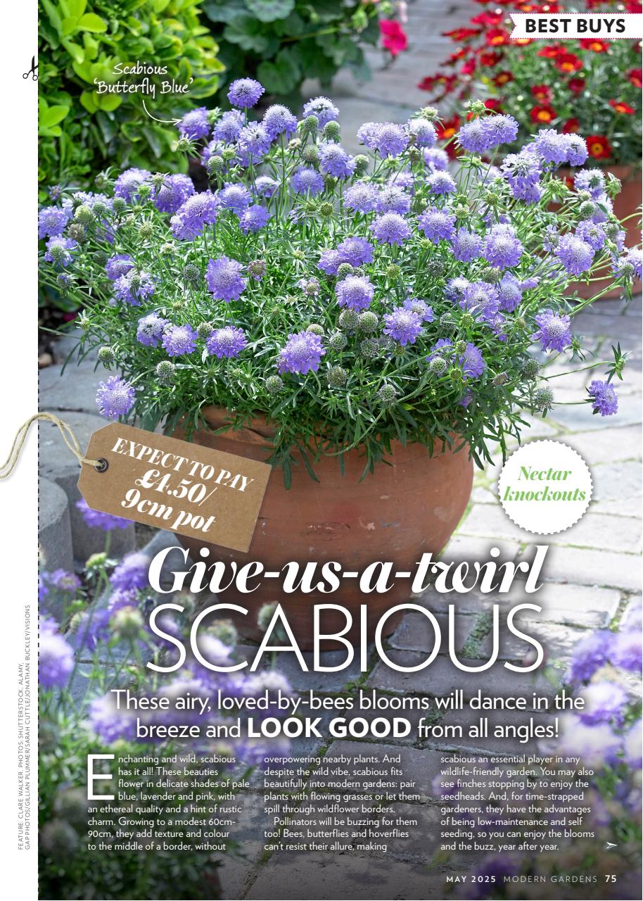 Modern Gardens Preview Pages