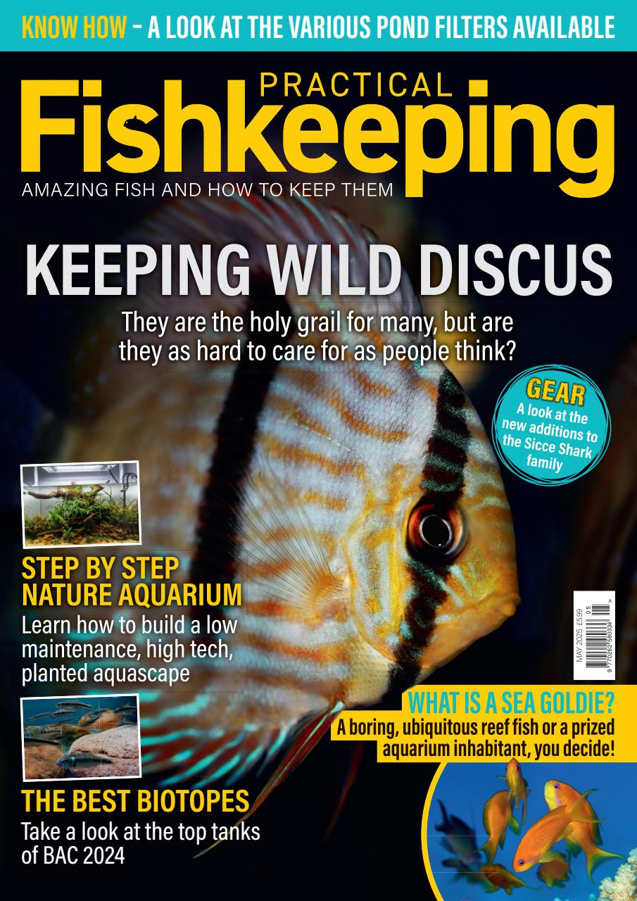Practical Fishkeeping Preview Pages