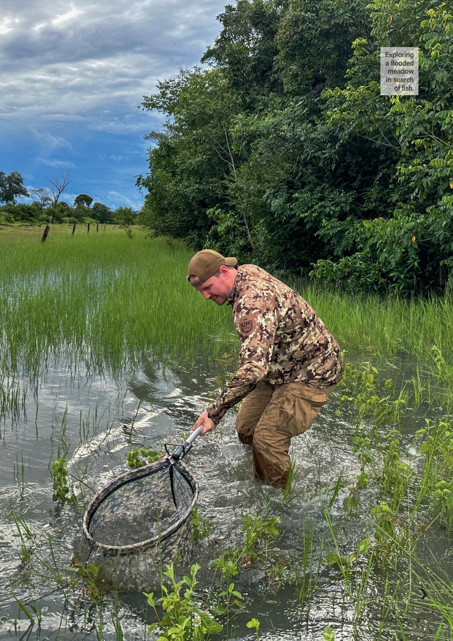 Practical Fishkeeping Preview Pages