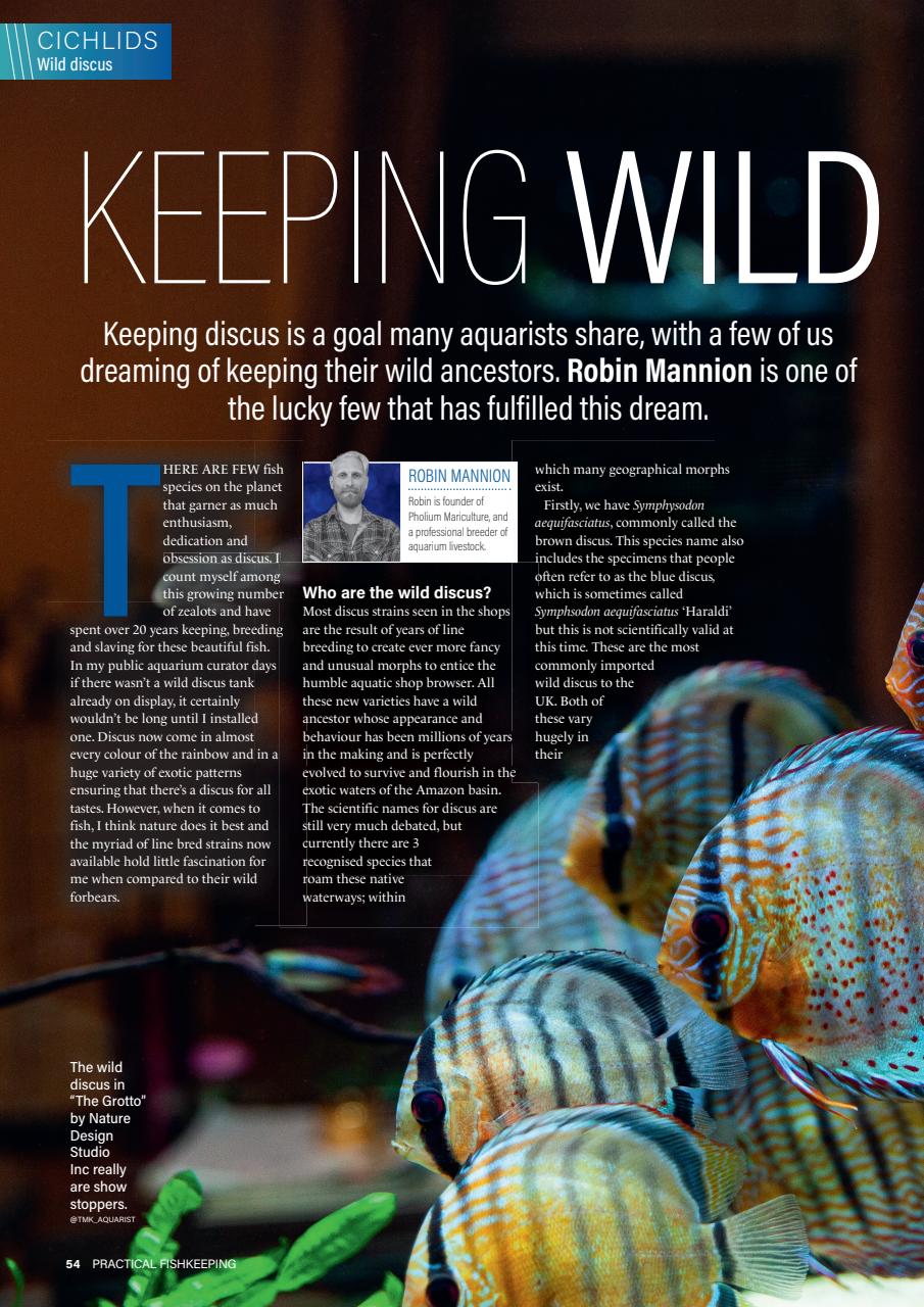 Practical Fishkeeping Preview Pages