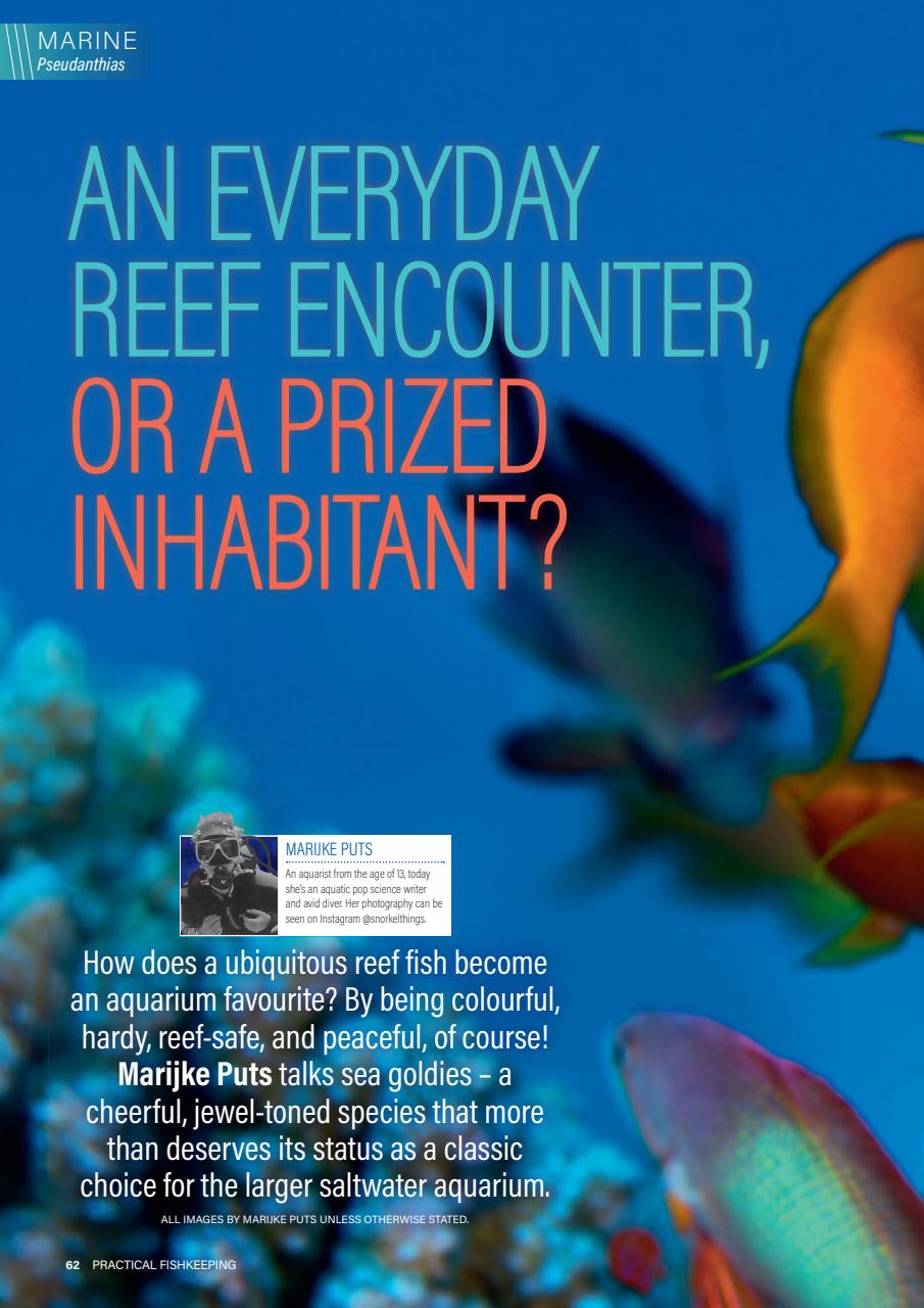 Practical Fishkeeping Preview Pages