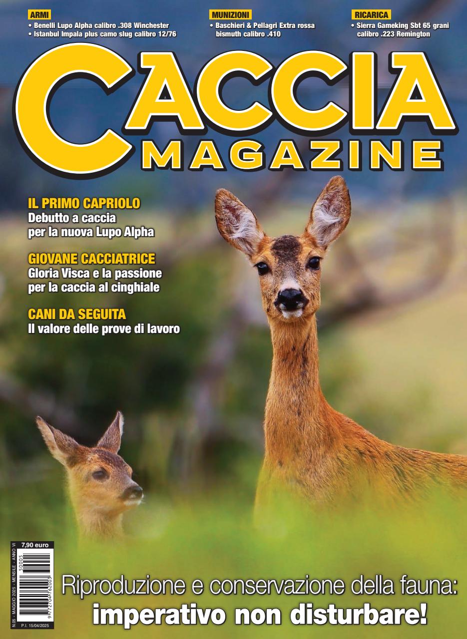 Caccia Magazine Preview Pages