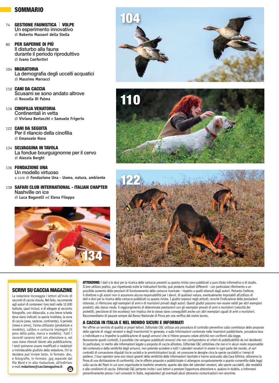 Caccia Magazine Preview Pages