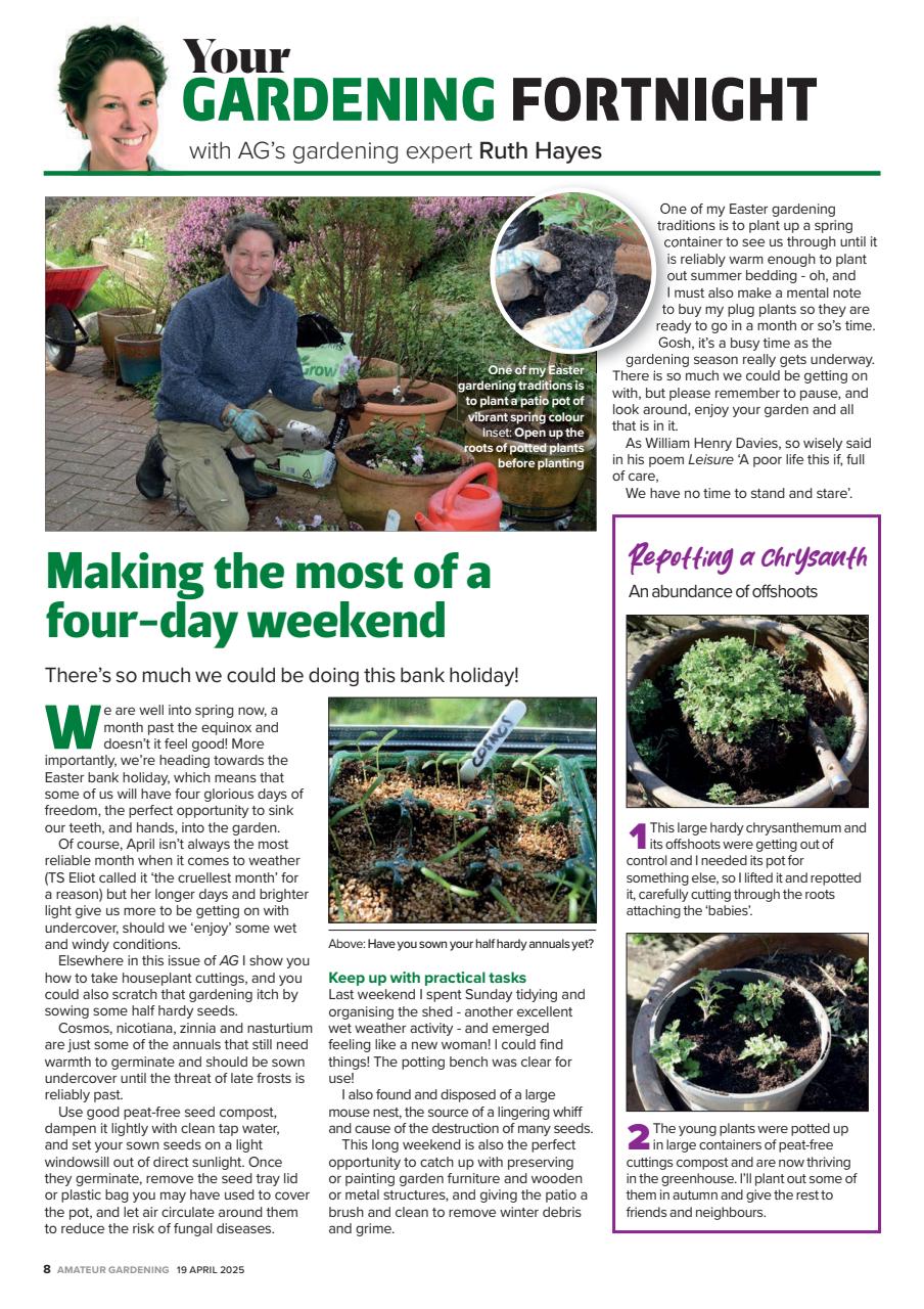 Amateur Gardening Preview Pages