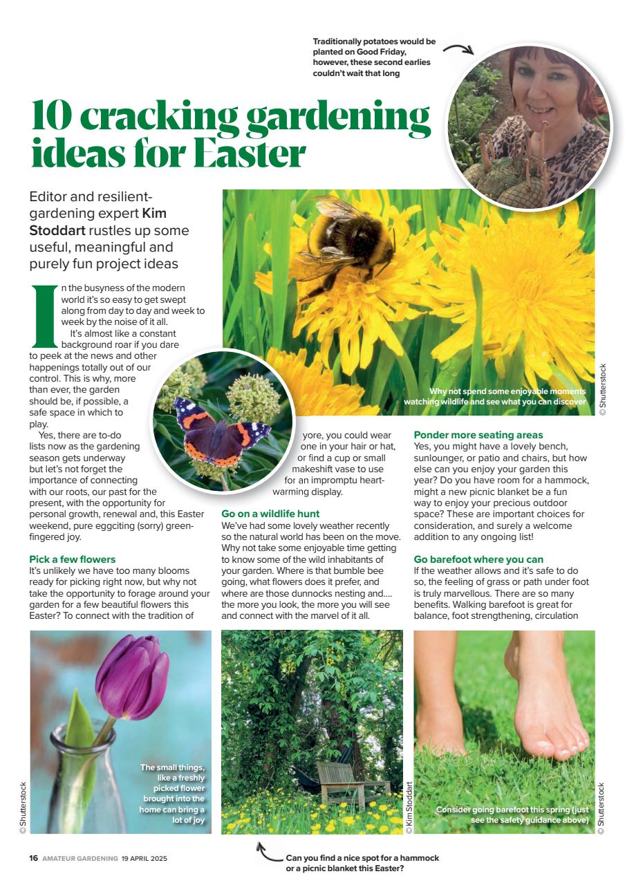 Amateur Gardening Preview Pages