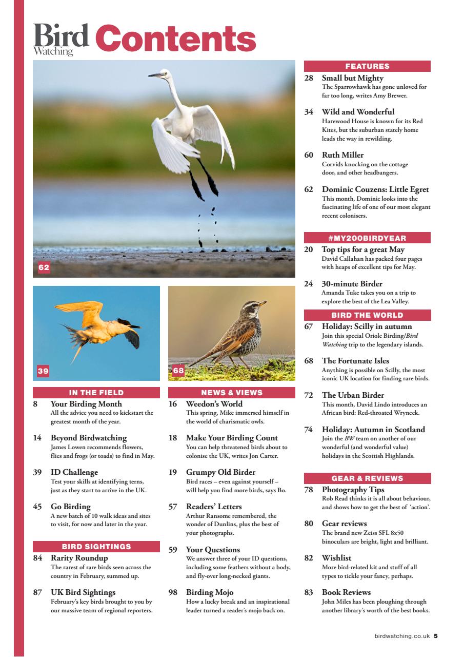 Bird Watching Preview Pages